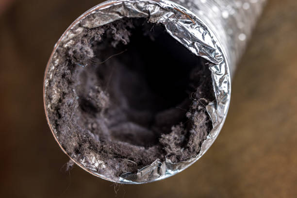 Air Duct Mold Removal in Honey Grove, TX