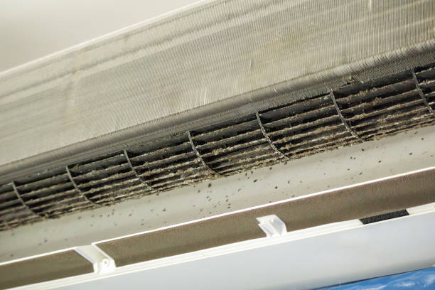 Best Ventilation Cleaning Services  in Honey Grove, TX