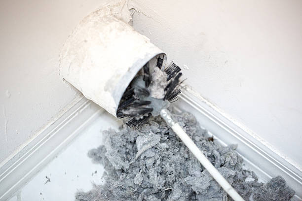 Best Local Air Duct Cleaning Services  in Honey Grove, TX